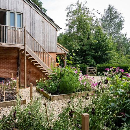 Little Willow Bank - 1 Bed Luxury Apartment Between Salisbury And The New Forest Kültér fotó