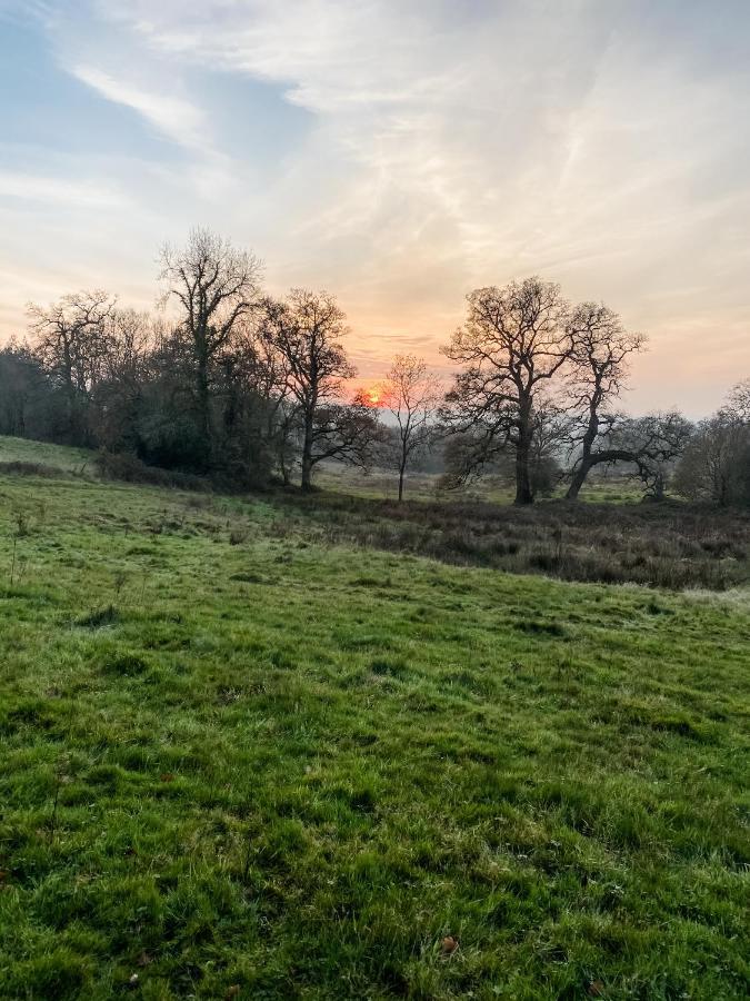 Little Willow Bank - 1 Bed Luxury Apartment Between Salisbury And The New Forest Kültér fotó
